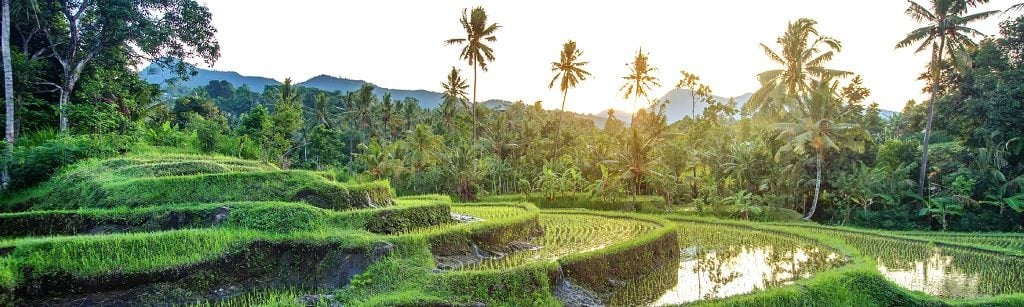 weather in Bali in April