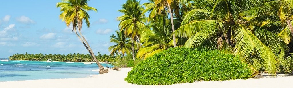 weather in Barbados in January