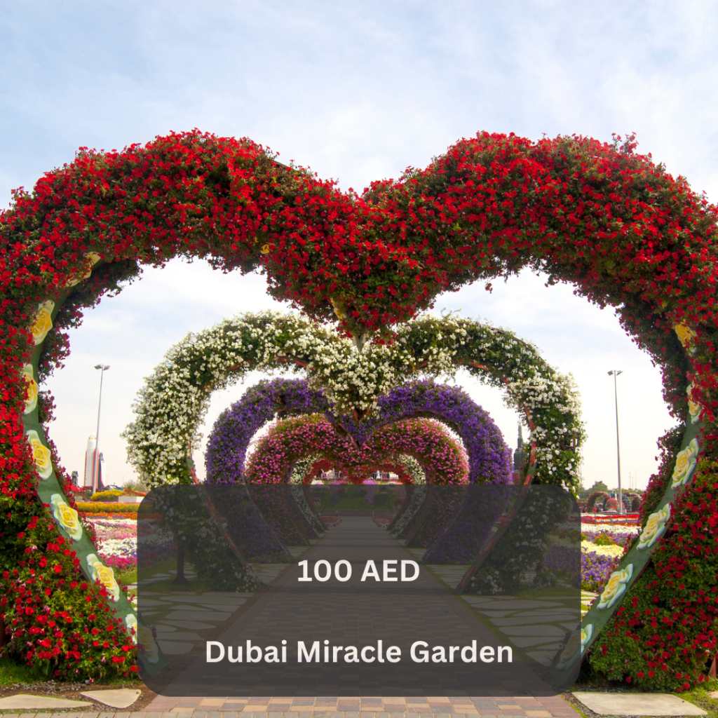 Dubai miracle garden entry cost 100 aed per adult